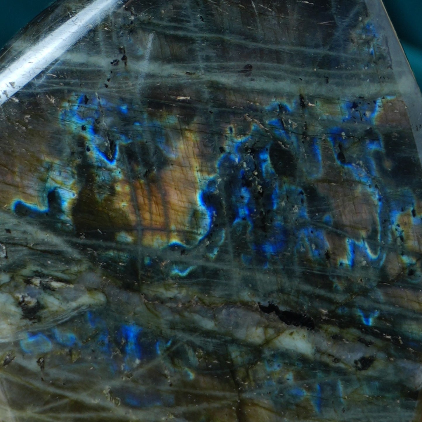 FF Labradorit A (MDG) 521g