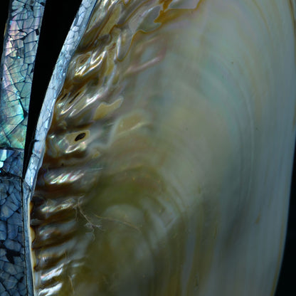 Ékszertartó doboz pávakagyló krém 25cm