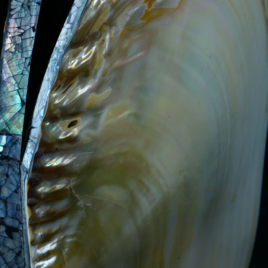 Ékszertartó doboz pávakagyló krém 25cm